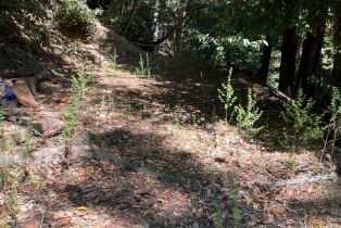 Residential Lot,  Duncan road, Russian River, CA 95446 - 2