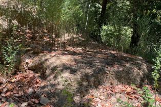 Residential Lot,  Duncan road, Russian River, CA 95446 - 14