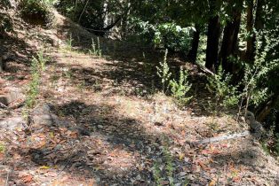 Residential Lot,  Duncan road, Russian River, CA 95446 - 3