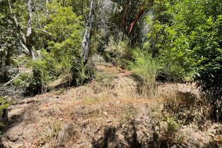 Residential Lot,  Duncan road, Russian River, CA 95446 - 8