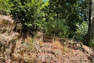 Residential Lot,  Duncan road, Russian River, CA 95446 - 9