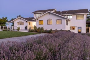 Single Family Residence,  Las Amigas road, Napa, CA 94559 - 52