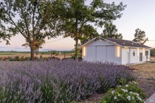 Single Family Residence,  Las Amigas road, Napa, CA 94559 - 48