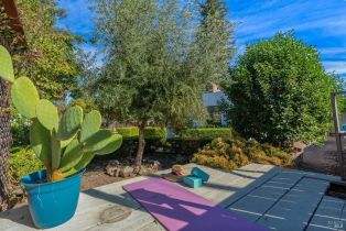 Single Family Residence,  Trower avenue, Napa, CA 94558 - 50