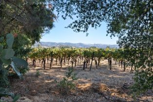 Single Family Residence,  Fowler Creek road, Sonoma, CA 95476 - 87