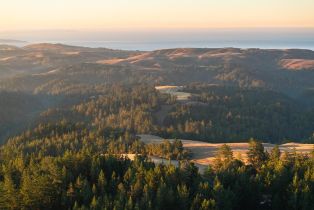 Single Family Residence,  Fitzpatrick lane, Occidental, CA 95465 - 9