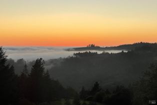 Single Family Residence,  Fitzpatrick lane, Occidental, CA 95465 - 64