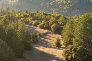 Single Family Residence,  Fitzpatrick lane, Occidental, CA 95465 - 10