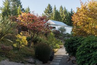 Single Family Residence,  Fitzpatrick lane, Occidental, CA 95465 - 16