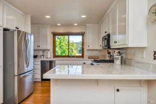 Single Family Residence,  Red Tail road, Healdsburg, CA 95448 - 7