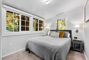 Single Family Residence,  Old Cazadero road, Russian River, CA 95446 - 23