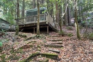 Single Family Residence,  Austin Creek road, Russian River, CA 95421 - 7