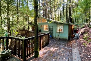 Single Family Residence,  Austin Creek road, Russian River, CA 95421 - 10