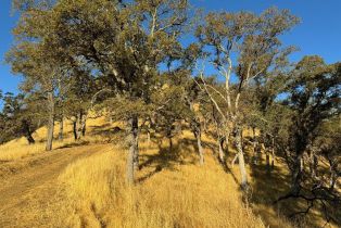 Residential Acreage,  State Highway 128 none, Napa, CA 94558 - 34