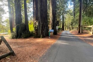 Single Family Residence,  Fitzpatrick lane, Occidental, CA 95465 - 51