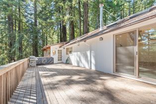 Single Family Residence,  Fitzpatrick lane, Occidental, CA 95465 - 6