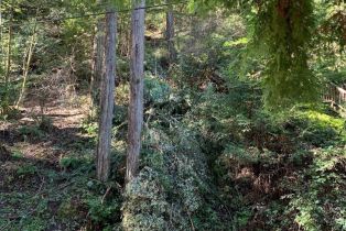 Residential Lot,  Hillside road, Russian River, CA 95436 - 4