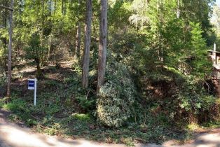 Residential Lot,  Hillside road, Russian River, CA 95436 - 2