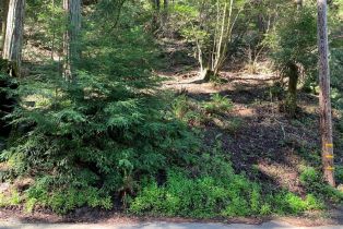 Residential Lot,  Hillside road, Russian River, CA 95436 - 3