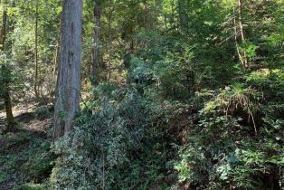 Residential Lot,  Hillside road, Russian River, CA 95436 - 5