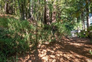 Residential Lot,  Old Cazadero road, Russian River, CA 95446 - 4