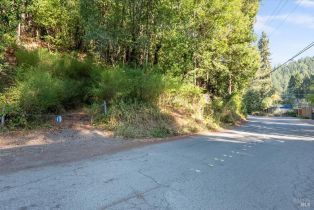 Residential Lot,  Old Cazadero road, Russian River, CA 95446 - 9