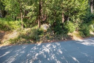 Residential Lot,  Old Cazadero road, Russian River, CA 95446 - 3