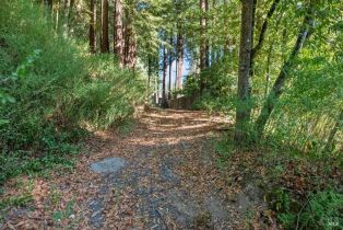 Residential Lot,  Old Cazadero road, Russian River, CA 95446 - 8