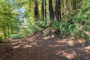 Residential Lot,  Old Cazadero road, Russian River, CA 95446 - 2