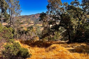 Residential Lot,  Juniper drive, Napa, CA 94558 - 6