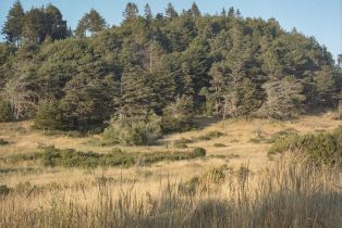 Co-Ownership,  Headlands Close, #4 none, Sea Ranch, CA 95497 - 5