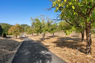 Single Family Residence,  Petrified Forest road, Calistoga, CA 94515 - 38