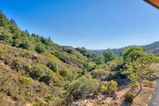 Single Family Residence,  Petrified Forest road, Calistoga, CA 94515 - 34