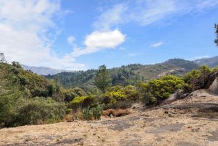 Single Family Residence,  Petrified Forest road, Calistoga, CA 94515 - 39