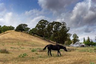 Agriculture,  Foster road, Napa, CA 94558 - 2