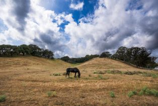 Agriculture,  Foster road, Napa, CA 94558 - 7