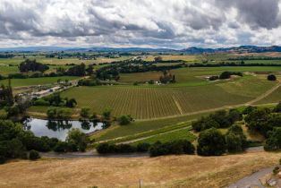 Agriculture,  Foster road, Napa, CA 94558 - 10