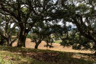 Agriculture,  Foster road, Napa, CA 94558 - 3