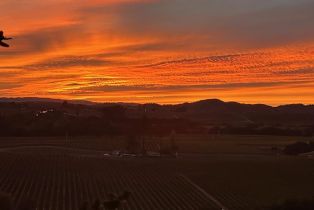 Agriculture,  Foster road, Napa, CA 94558 - 14