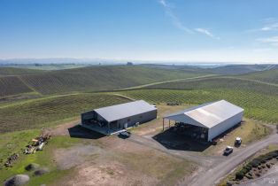 Agriculture,  Haire lane, Napa, CA 94559 - 3