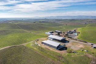 Agriculture,  Haire lane, Napa, CA 94559 - 6