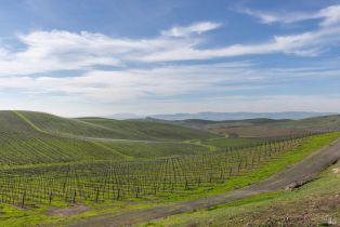 Agriculture,  Haire lane, Napa, CA 94559 - 11