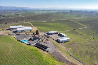 Agriculture,  Haire lane, Napa, CA 94559 - 7