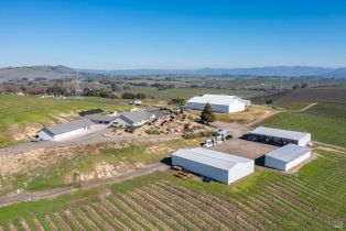 Agriculture,  Haire lane, Napa, CA 94559 - 10