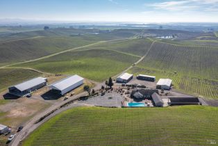 Agriculture,  Haire lane, Napa, CA 94559 - 8