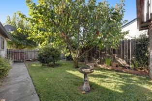 Single Family Residence,  Escalon drive, Sonoma, CA 95476 - 29