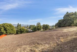 Residential Lot,  Branching way, Petaluma, CA 94952 - 21