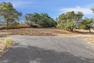 Residential Lot,  Branching way, Petaluma, CA 94952 - 17