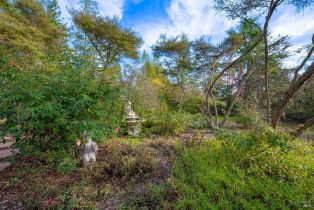 Single Family Residence,  Occidental road, Santa Rosa, CA 95401 - 67