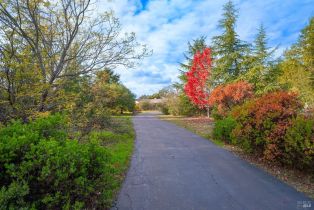 Single Family Residence,  Occidental road, Santa Rosa, CA 95401 - 2